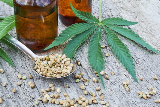 Hemp Seed Oil vs. CBD Oil: What's the difference?