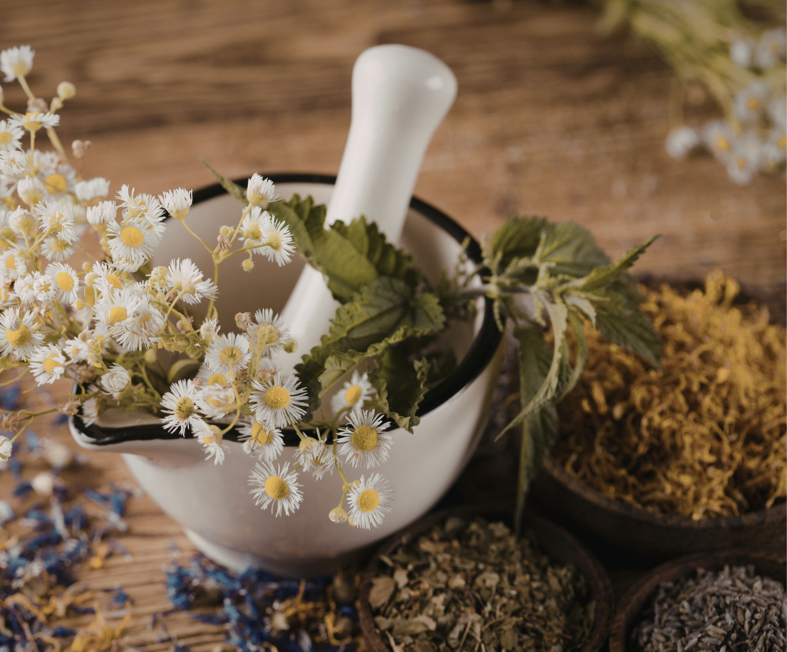 Decoding the Science of Salves: Why Nature’s Oldest Remedy is the Future of Targeted Healing